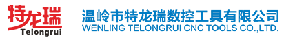 溫嶺市特龍瑞數(shù)控工具有限公司